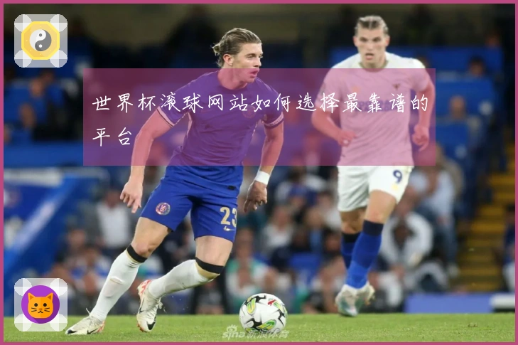 世界杯滚球网站如何选择最靠谱的平台