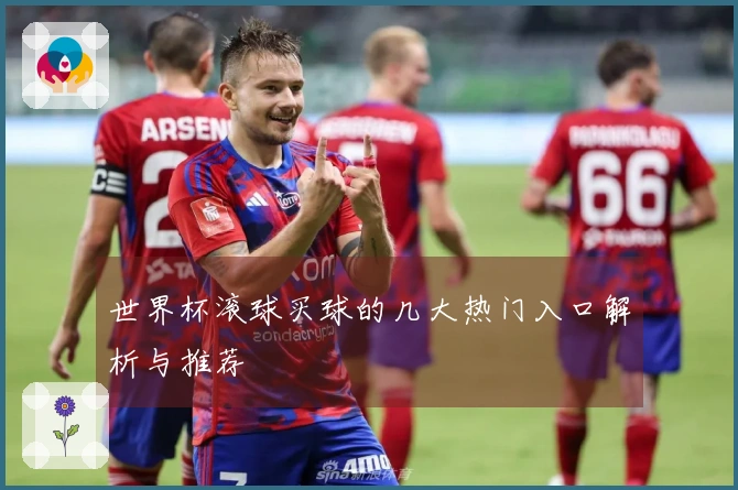 世界杯滚球买球的几大热门入口解析与推荐