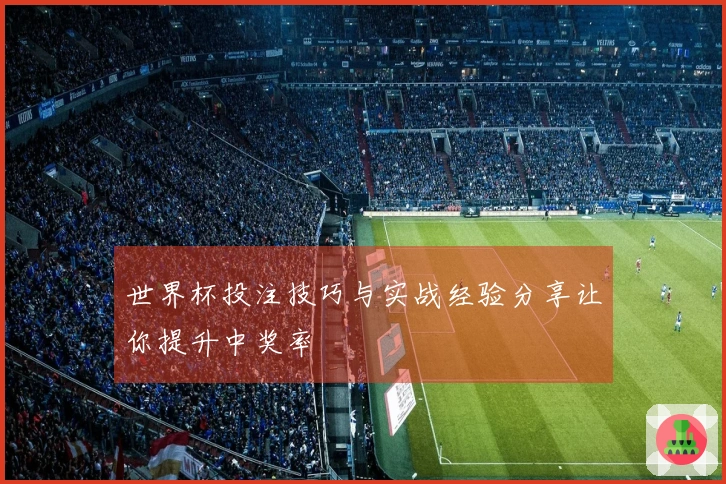 世界杯投注技巧与实战经验分享让你提升中奖率