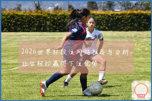 2026世界杯投注网站推荐与分析,让你轻松赢得下注优势