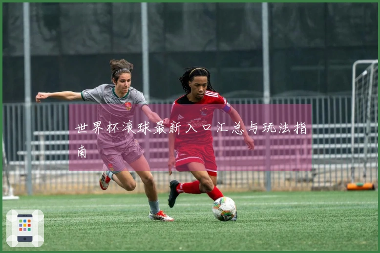 世界杯滚球最新入口汇总与玩法指南