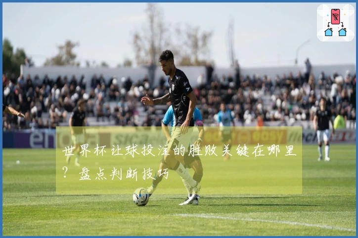 世界杯让球投注的胜败关键在哪里?盘点判断技巧