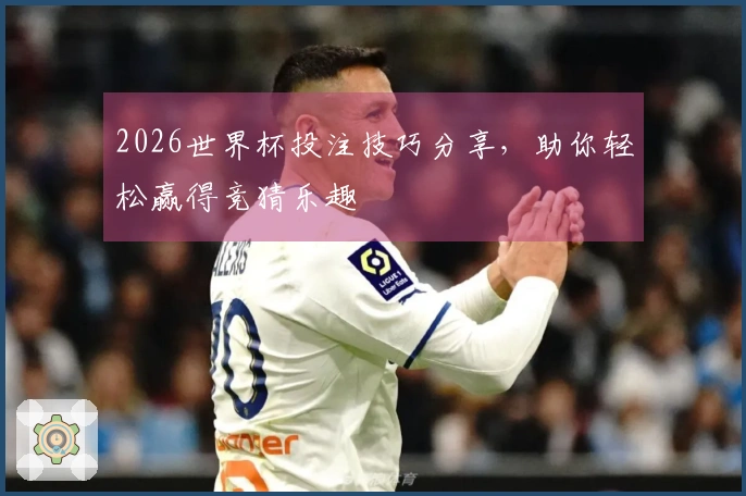 2026世界杯投注技巧分享，助你轻松赢得竞猜乐趣