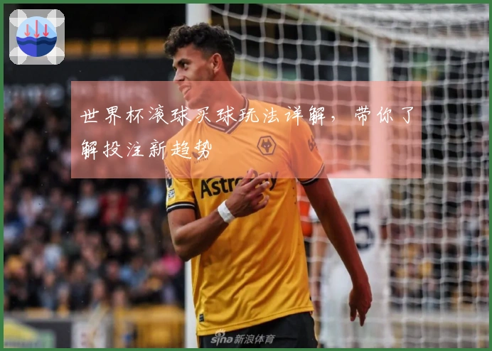 世界杯滚球买球玩法详解，带你了解投注新趋势