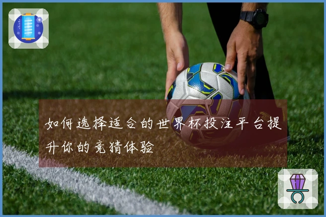 如何选择适合的世界杯投注平台提升你的竞猜体验