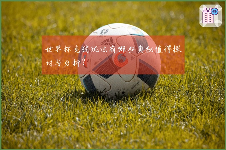 世界杯竞猜玩法有哪些奥秘值得探讨与分析？