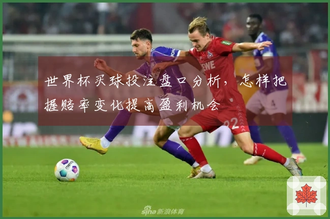 世界杯买球投注盘口分析，怎样把握赔率变化提高盈利机会