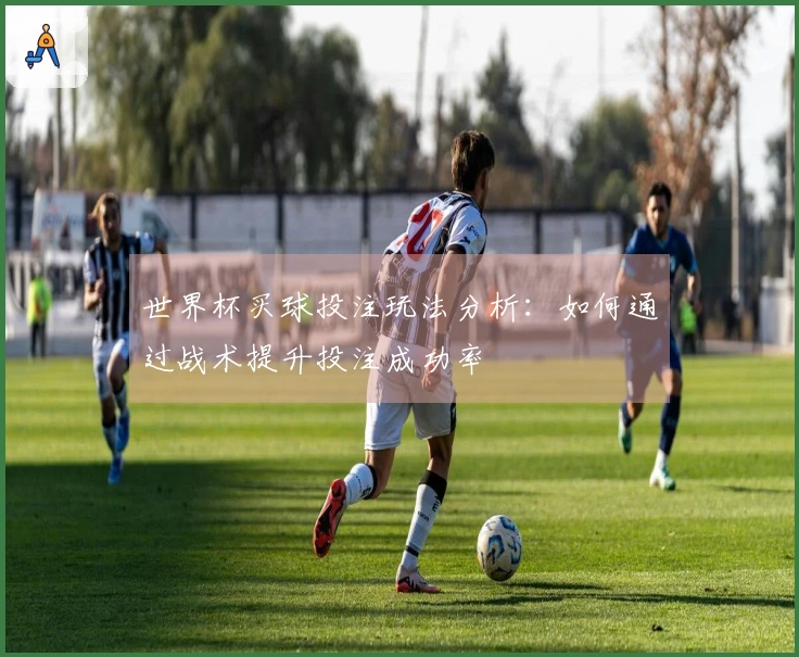 世界杯买球投注玩法分析：如何通过战术提升投注成功率