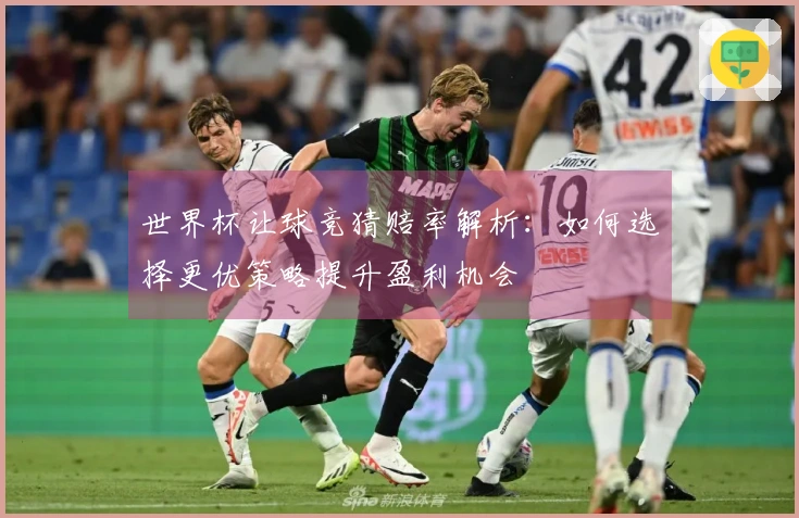 世界杯让球竞猜赔率解析：如何选择更优策略提升盈利机会