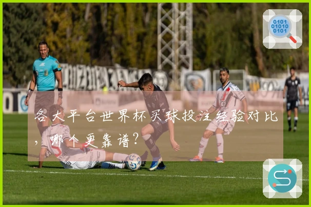各大平台世界杯买球投注经验对比，哪个更靠谱？